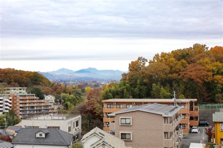 八王子ペロンチョとは？ペロンチョ学園の特徴・評判を徹底解説